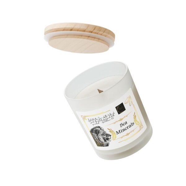 The Israelite Merchant™ Sea Mineral Scented Frosted Candle, 11oz