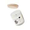 The Israelite Merchant™ Blackberry & Vanilla Scented Frosted Candle, 11oz