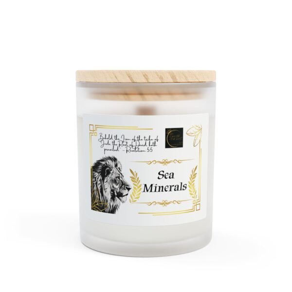 The Israelite Merchant™ Sea Mineral Scented Frosted Candle, 11oz